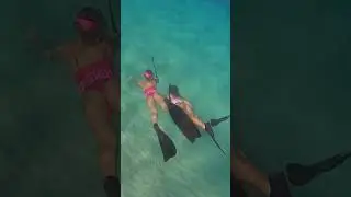 they swam off with my selfie stick #shorts
