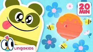 Lets Go Back to School 📚🎒 Educational Cartoons for Kids | Lingokids