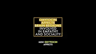 How oxytocin affects brain regions involved in empathy and sociality ?
