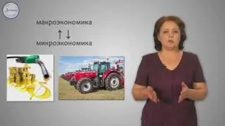 Обществознание 11 класс. Экономика, наука и хозяйство