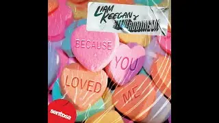 Liam Keegan x Steven Robinson - Because You Loved Me [Official Lyric Video]