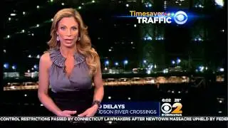 CBS 2 News - Jill Nicolini (1-31-14)