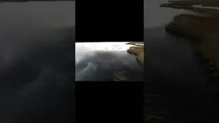 КАК ПОДМАНИТЬ И ДОСТАТЬ ГУСЯ ИЗ ВОДЫ!?  