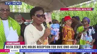 President Tinubu Has Not Disappointed Us -  Ovie Omo-Agege