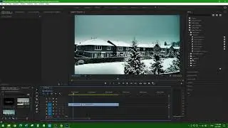 How to loop 10 seconds to 8 hours of video in Adobe Premiere Pro