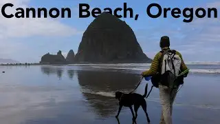 Hiking with a Dog in Cannon Beach, Oregon 4K