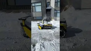 The PERFECT Winter Companion!