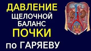 Давление и почки по Гаряеву. Пояснение к сеансу медитации