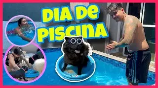 HOJE FOI DIA DE PISCINA -  AMORINHA CHOWCHOW 