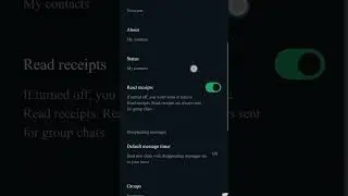 How to Turn On Disappearing messages mood in Whatsapp