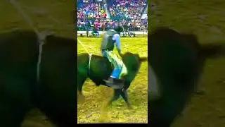 PBR CHALLENGER SERIES 🤠 PROFESSIONAL BULL RIDING #bullriding #viral #shorts #pbr