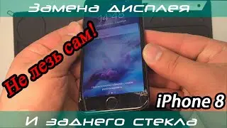 iPhone 8. Замена дисплея и заднего стекла