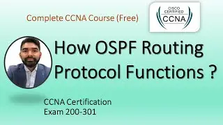 CCNA 200-301 | Module 14 | How OSPF Routing Functions #ccna_certification #ccna #cisconetworks