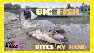 Big Fish bites my hand by Catfish World