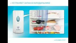 Как избавиться от запаха , плесени и спор плесени LONGEVITA
