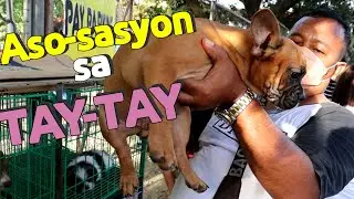 ANG MURA PALA NG MGA ASO SA TAYTAY TIANNGE | Taytay Dog Shop 🐕🐶