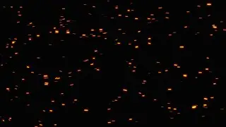Flying Sparks - Fire Embers Loop stock footage 4k -  Free Green Screen Effects Download