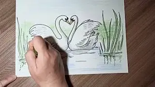 Как нарисовать лебедей. Пошаговый видео урок рисования для начинающих.