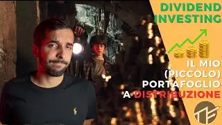 IL MIO PORTAFOGLIO a distribuzione: dividendi e come monitorarli💰