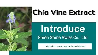 Chia Vine Extract