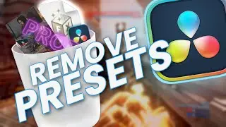 How to DELETE EFFECTS and PRESETS in DaVinci Resolve