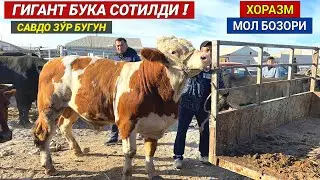 ХОРАЗМ МОЛ БОЗОРИ ГИГАНТ БУКА СОТИЛДИ !!! САВДО ЗУ́Р БУ́ЛДИ БУГУН 15-ОКТЯБР ХОРАЗМ БОЗОР