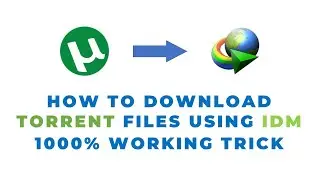 How to download torrent files using IDM