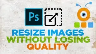 How to Resize Images Without Losing Quality in Photoshop