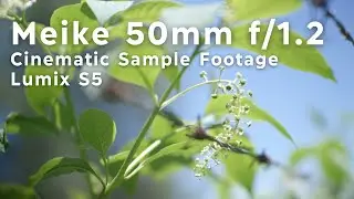 Meike 50mm 1.2 Sample Footage with Lumix S5 || Cinematic Panasonic Samples