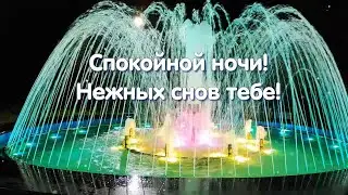 Спокойной ночи! Нежных снов тебе! 🌙⭐