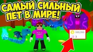 САМЫЙ СИЛЬНЫЙ В МИРЕ ПИТОМЕЦ! СИМУЛЯТОР ТРЕНИРОВКИ ПИТОМЦЕВ РОБЛОКС! PET TRAINER ROBLOX