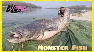 Big FISH puts the fishermen in difficulty by Catfish World