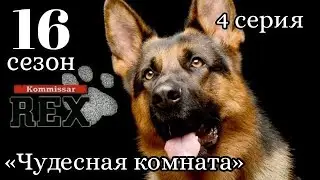 Комиссар Рекс, 16 сезон, 4 серия «Чудесная комната»