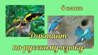 Диктант по русскому языку в 4 классе