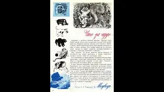 Колобок 1978 №8(78) - 2(4) Медведь рыбак. Рассказ Е. И. Чарушина. Читает М. М. Яншин.