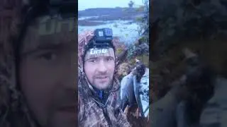 Охота на гуся 2021. 