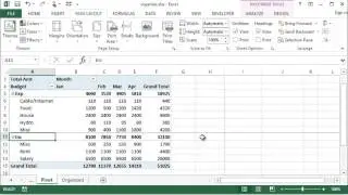 Microsoft Excel - Inserting Page Breaks