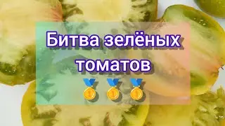 Битва зеленоплодных томатов//Какой же самый вкусный???