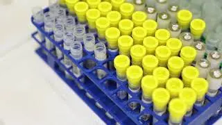 Pediatric Research: From Excellence to Eminence