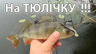 Приманка під тюльку виручила ловля окуня літом на джиг