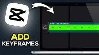 How To Add Keyframes In CapCut PC (2024)