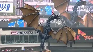 Macro dragon has a romp in a stadium