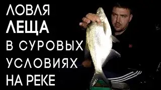 Ловля Трофейного Леща на Фидер. Рыбалка в СЛОЖНЫХ условиях. Секреты Успешной Ловли Огромных Лещей.
