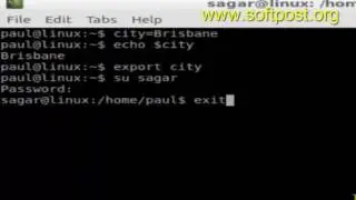 How to export environment variable in Mac OSX Terminal