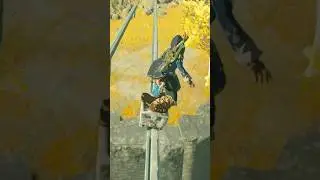 Zelda Pro Skater