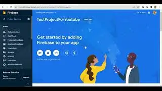 How to delete firebase project