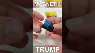 Magnetic Trump