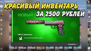 КРАСИВЫЙ ИНВЕНТАРЬ ЗА 2500 РУБЛЕЙ В КС ГО / КРАСИВЫЕ И ДЕШЕВЫЕ СКИНЫ В CS:GO