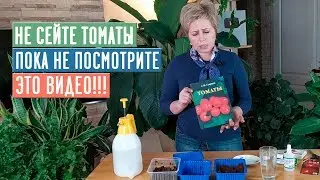СЕЗОН 2020: САЖАЙТЕ ТОМАТЫ ТОЛЬКО ТАК!!! Рассада будет крепкая и здоровая! / Садовый гид