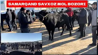 SAMRQAND SAVXOZ MOL BOZORI